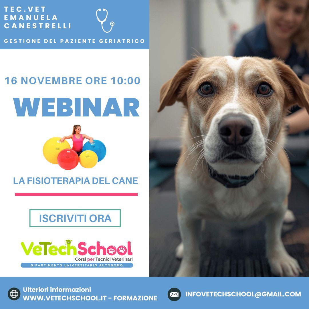 La fisioterapia del cane - Gestione del paziente geriatrico