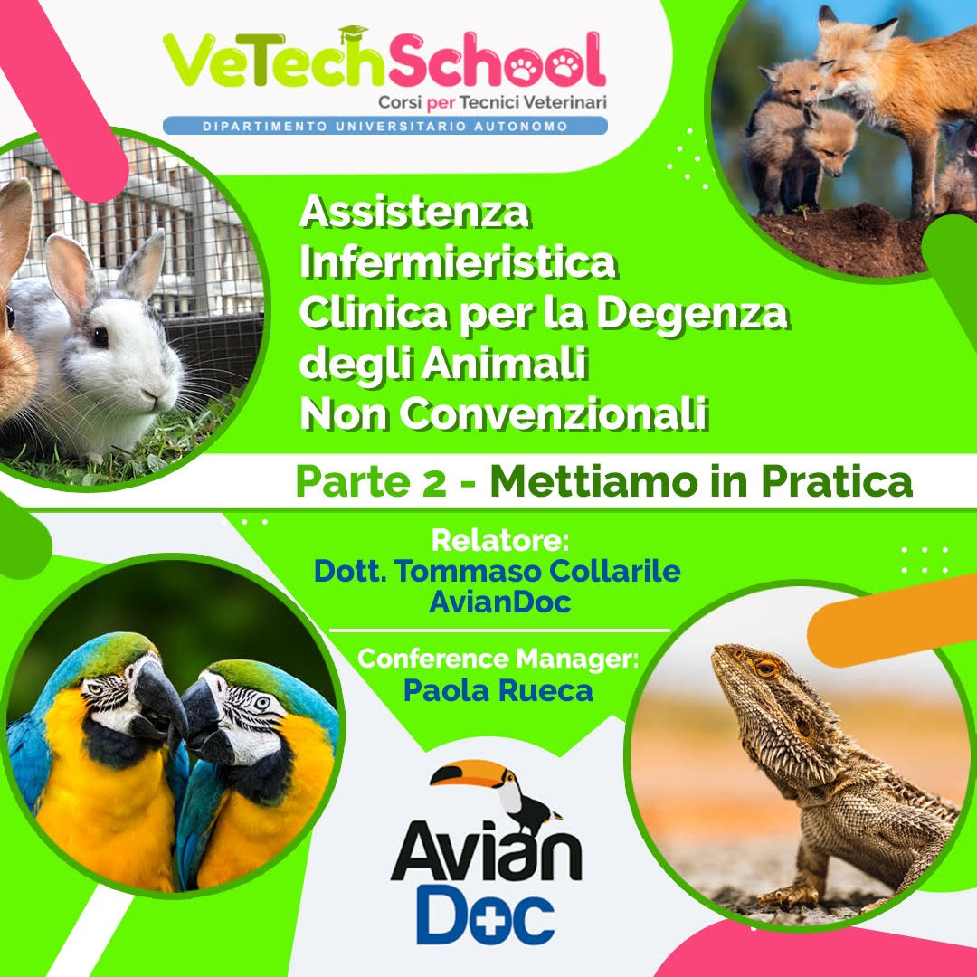 Assistenza Infermieristica Clinica per la Degenza degli Animali non Convenzionali